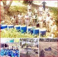 Continuous action on illegal liquor, liquor worth Rs 11 lakh 41 thousand 500 destroyed