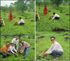 A unique initiative, celebrated father's death anniversary by planting trees
