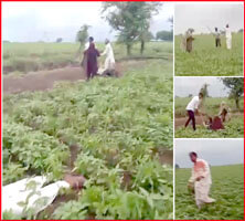 Video of bloody conflict between two parties over land goes viral