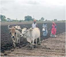 The newly elected MP is in the public discussions, her photo is going viral