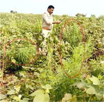 Mall worth lakhs seized after raiding several places simultaneously