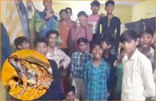Playing with the lives of students! Dead frog found in vegetable in tribal hostel